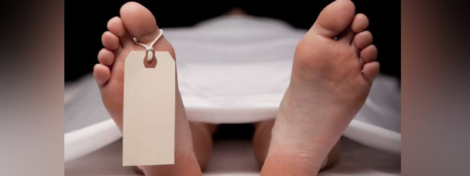 මෝටර් රථයකට යට වී දැරියක් මරුට..